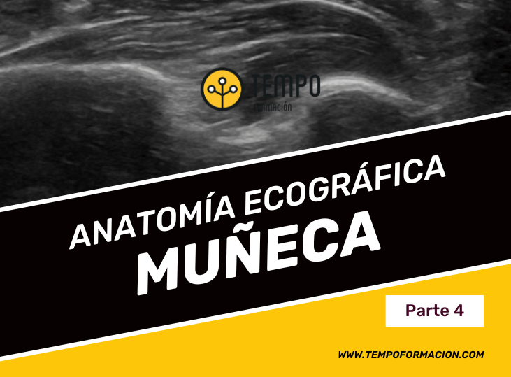 anatomia-y-ecografia-muneca